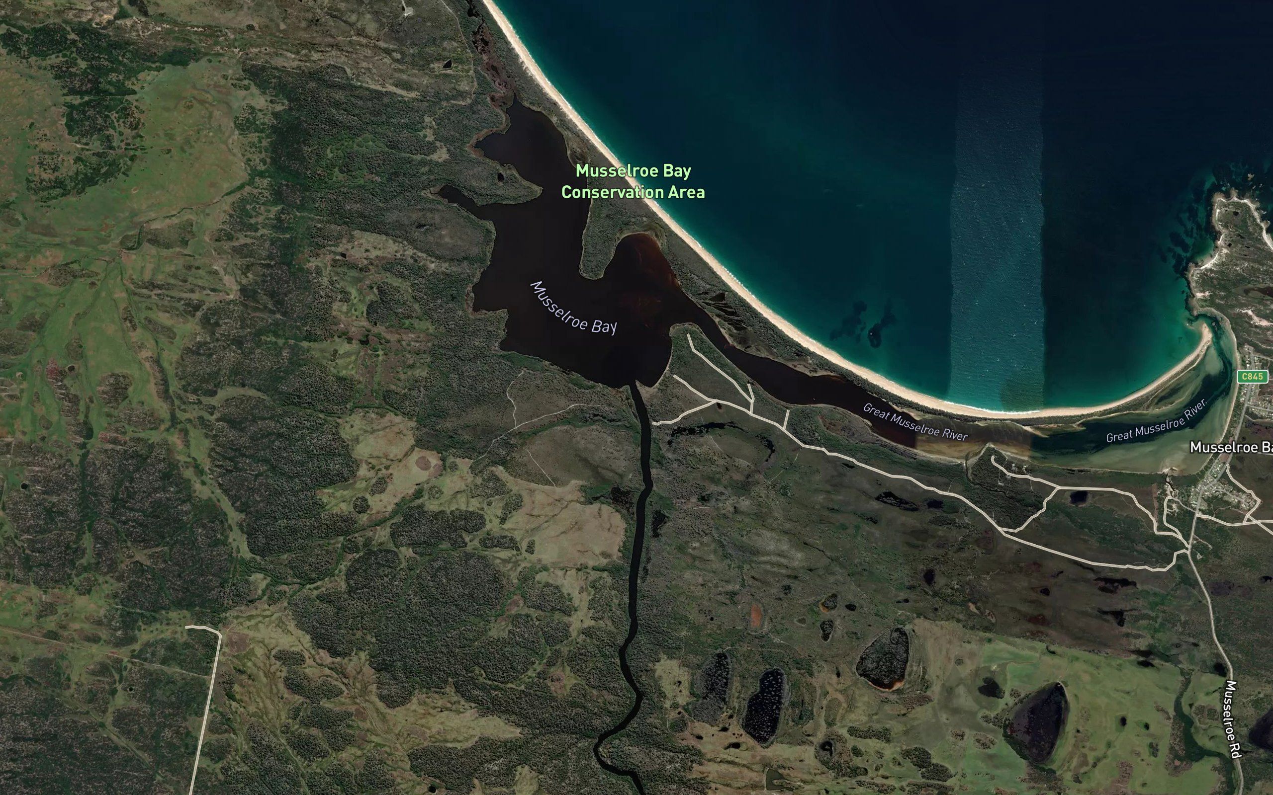 Great Mussel Roe River
