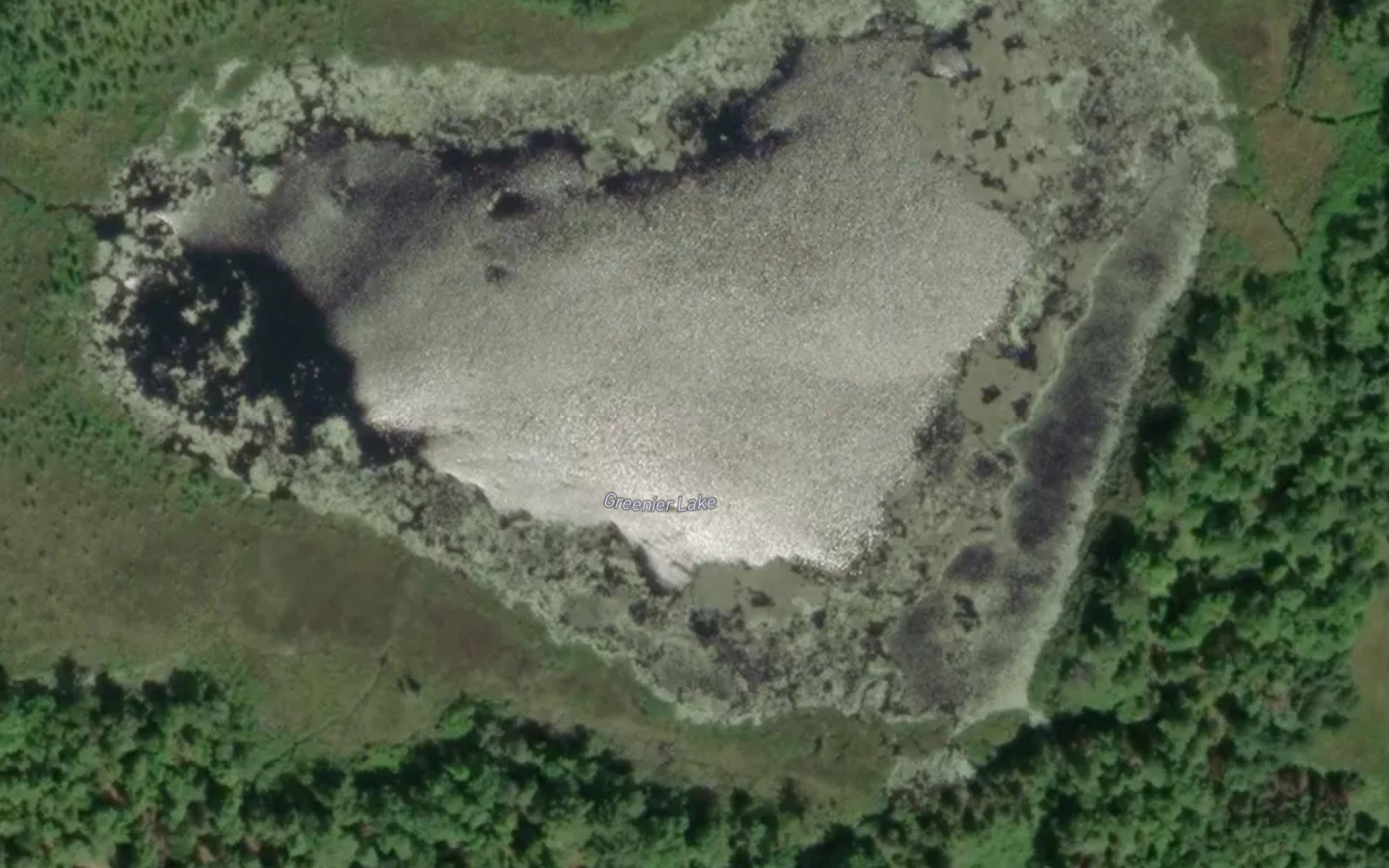 Satellite map of the Greenier Lake
