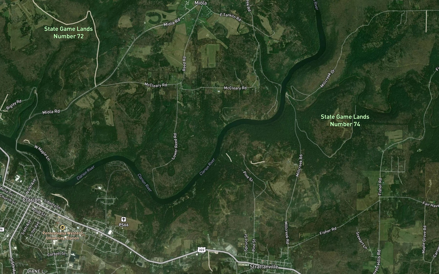 Satellite map of the Reed Run