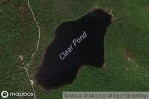 Clear Pond