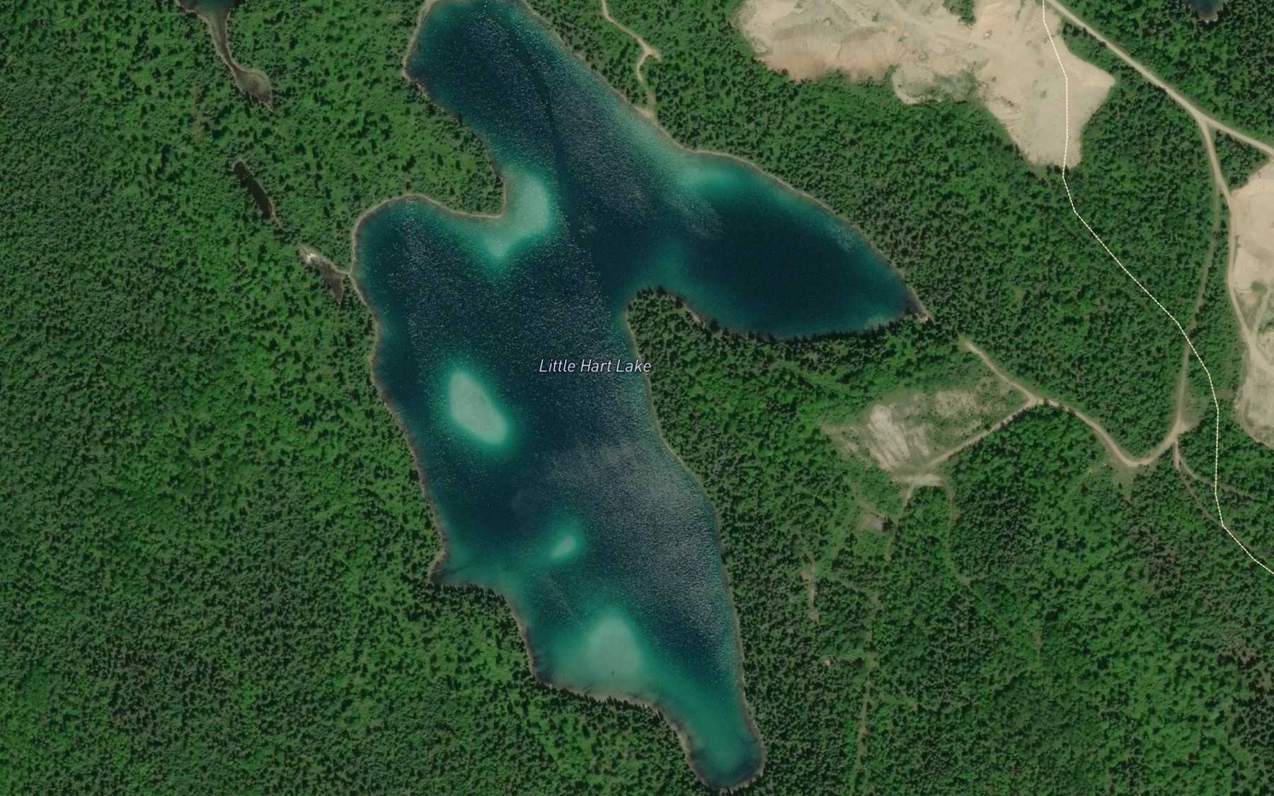 Satellite map of the Little Hart Lake
