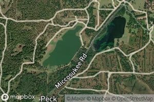 Gum Pond