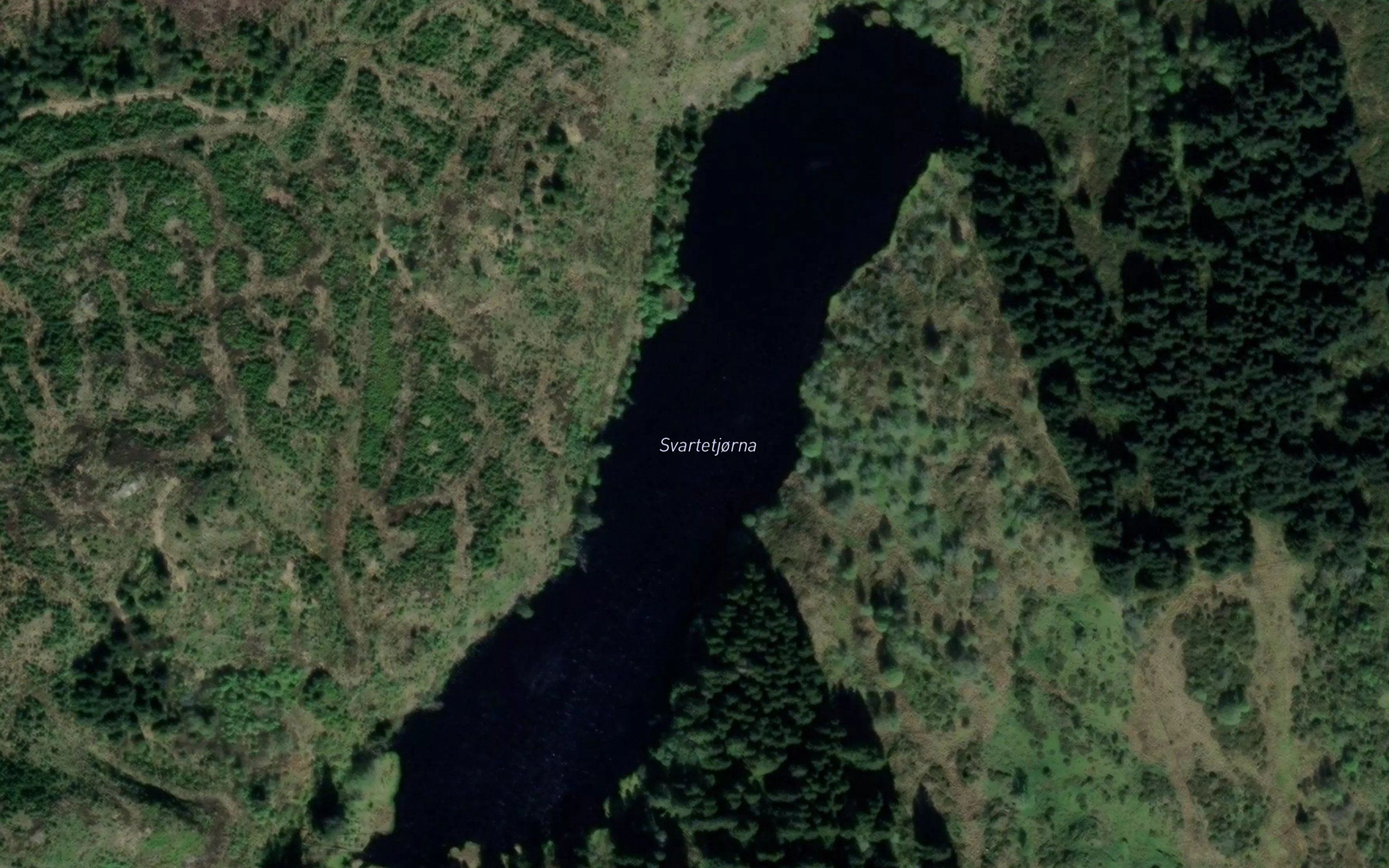 Svartetjorna