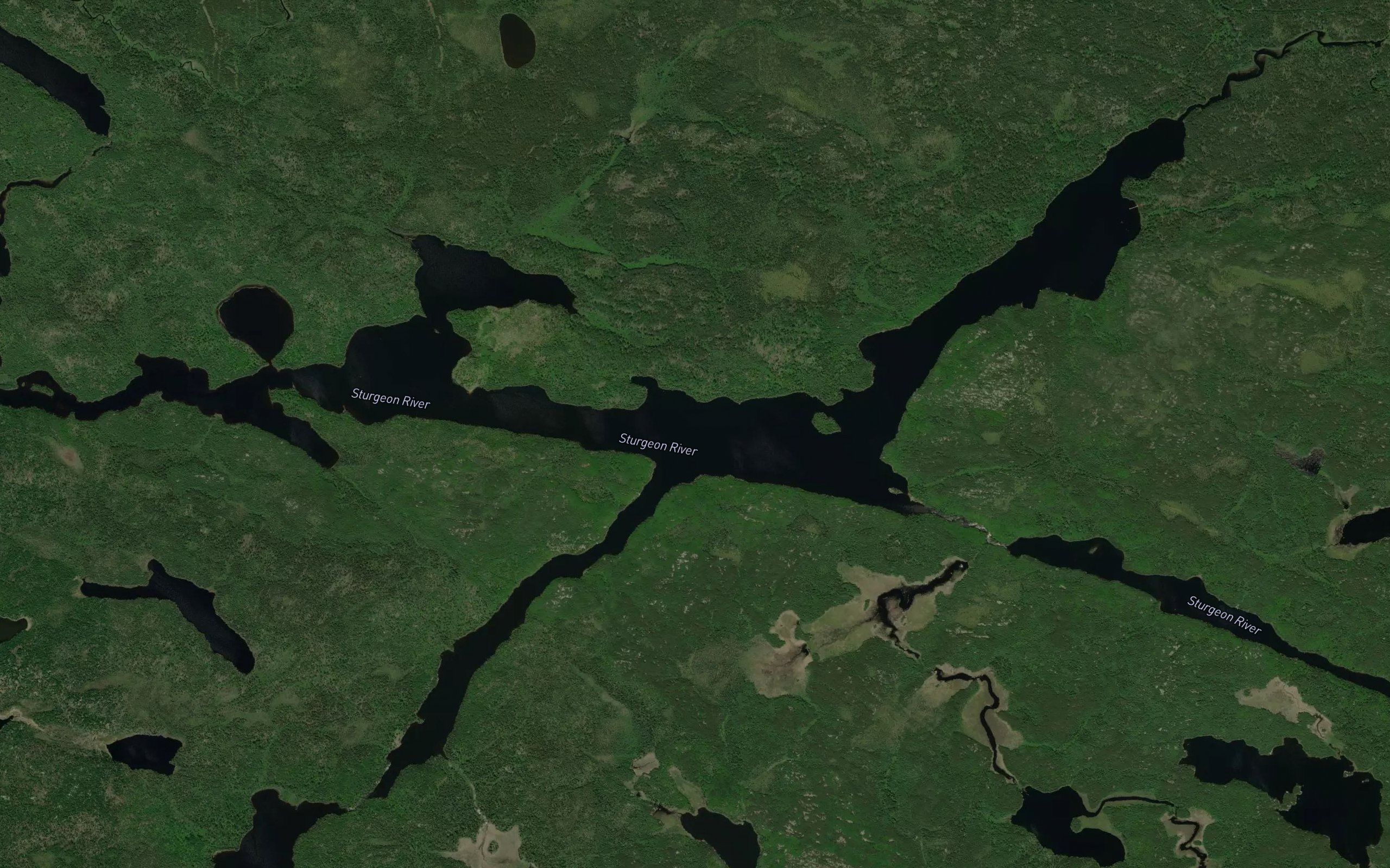 Lake of Bays River