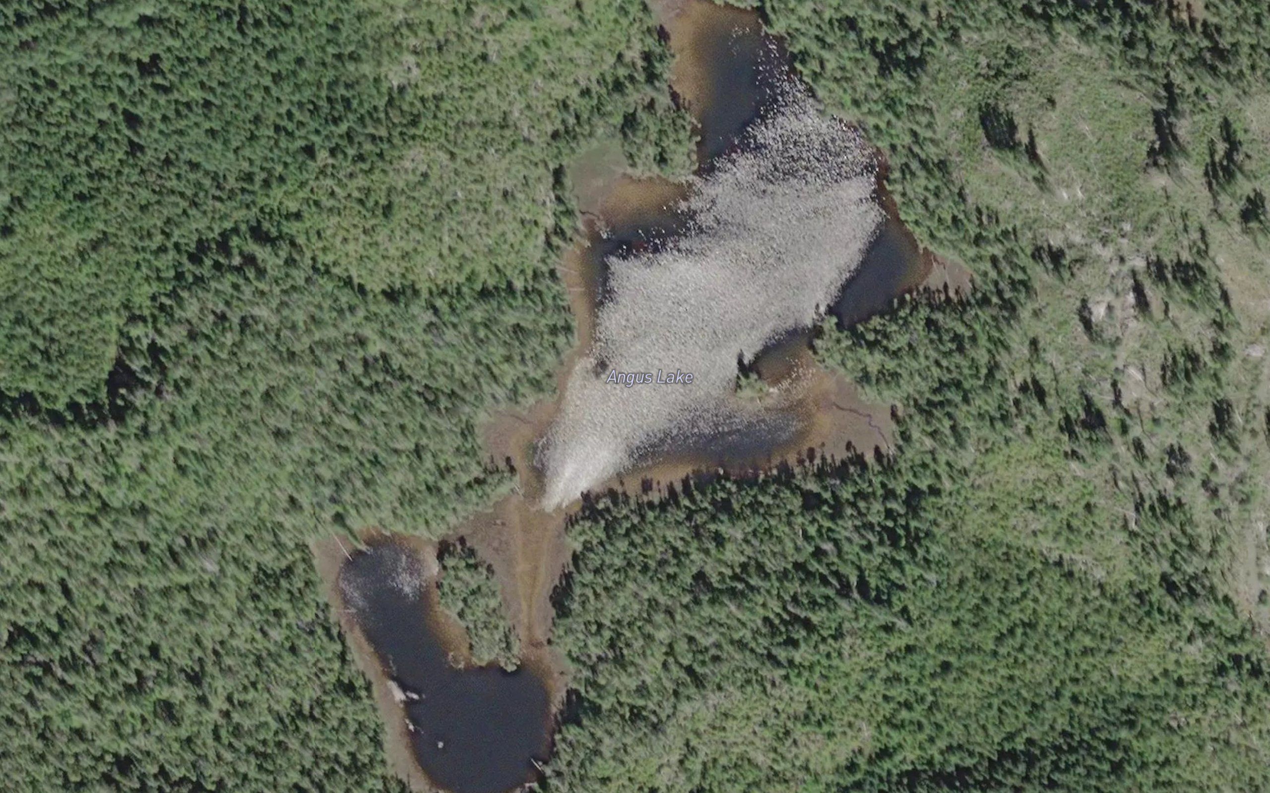 Angus Lake