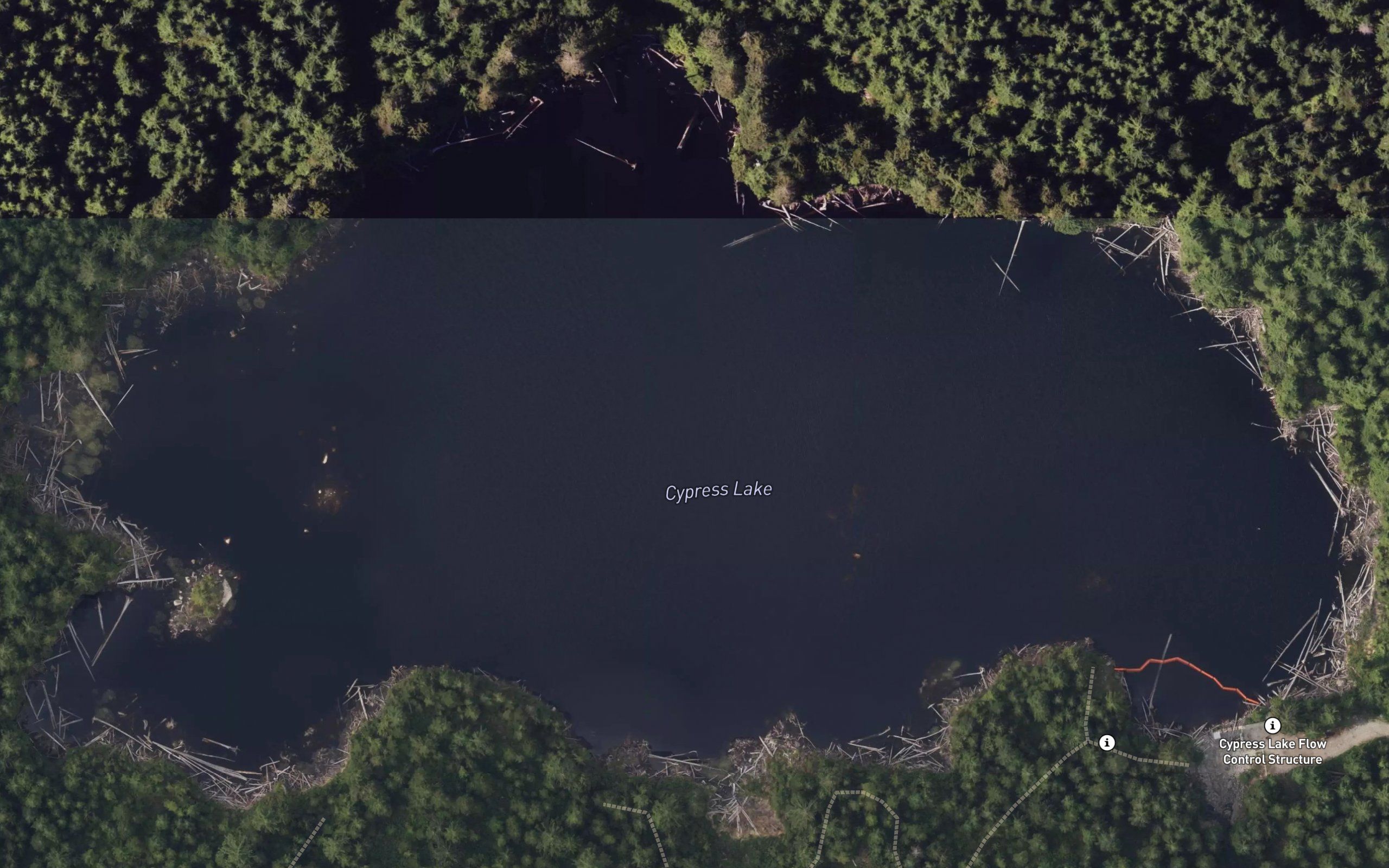 Cypress Lake