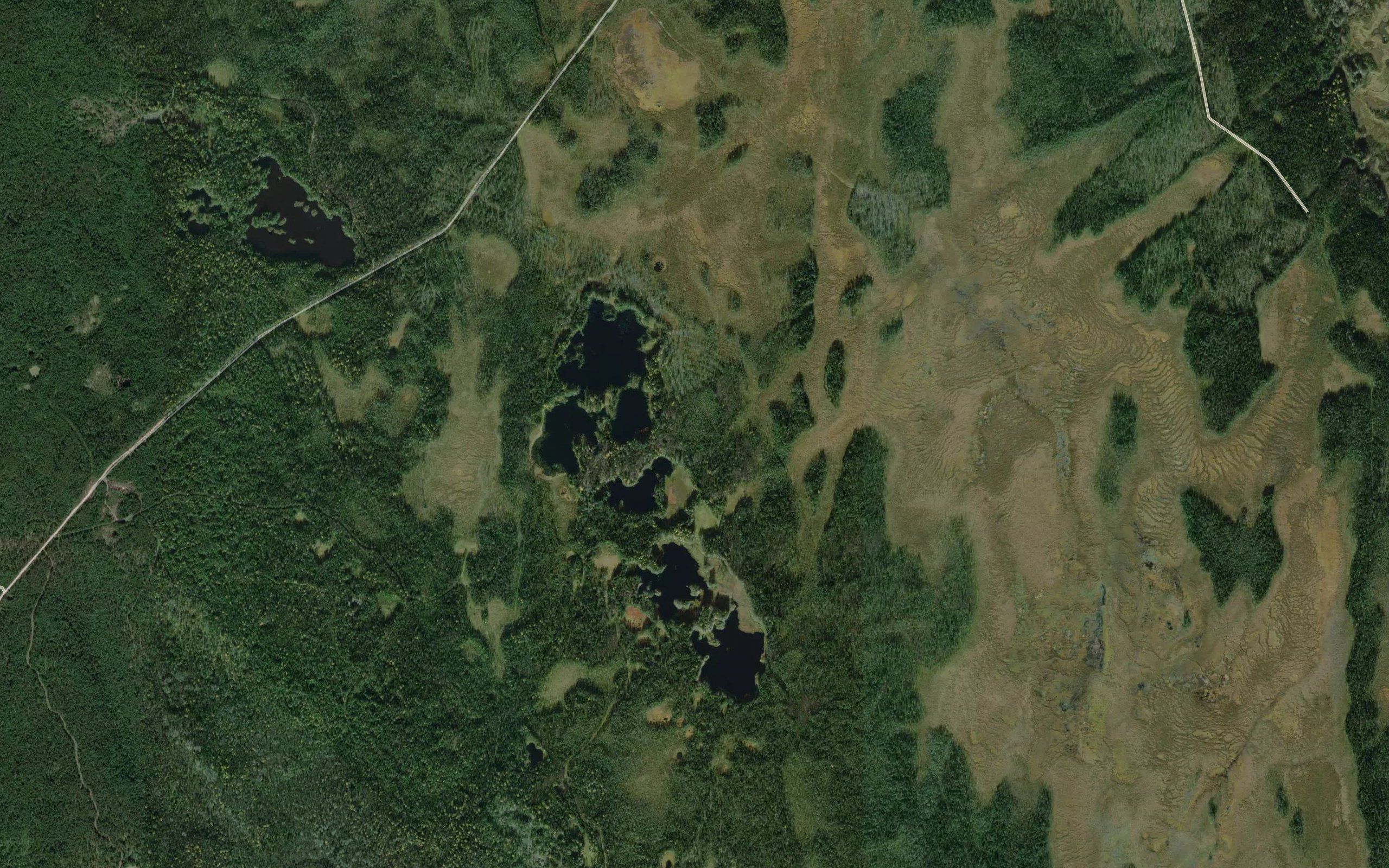 Ozero Berezovoye