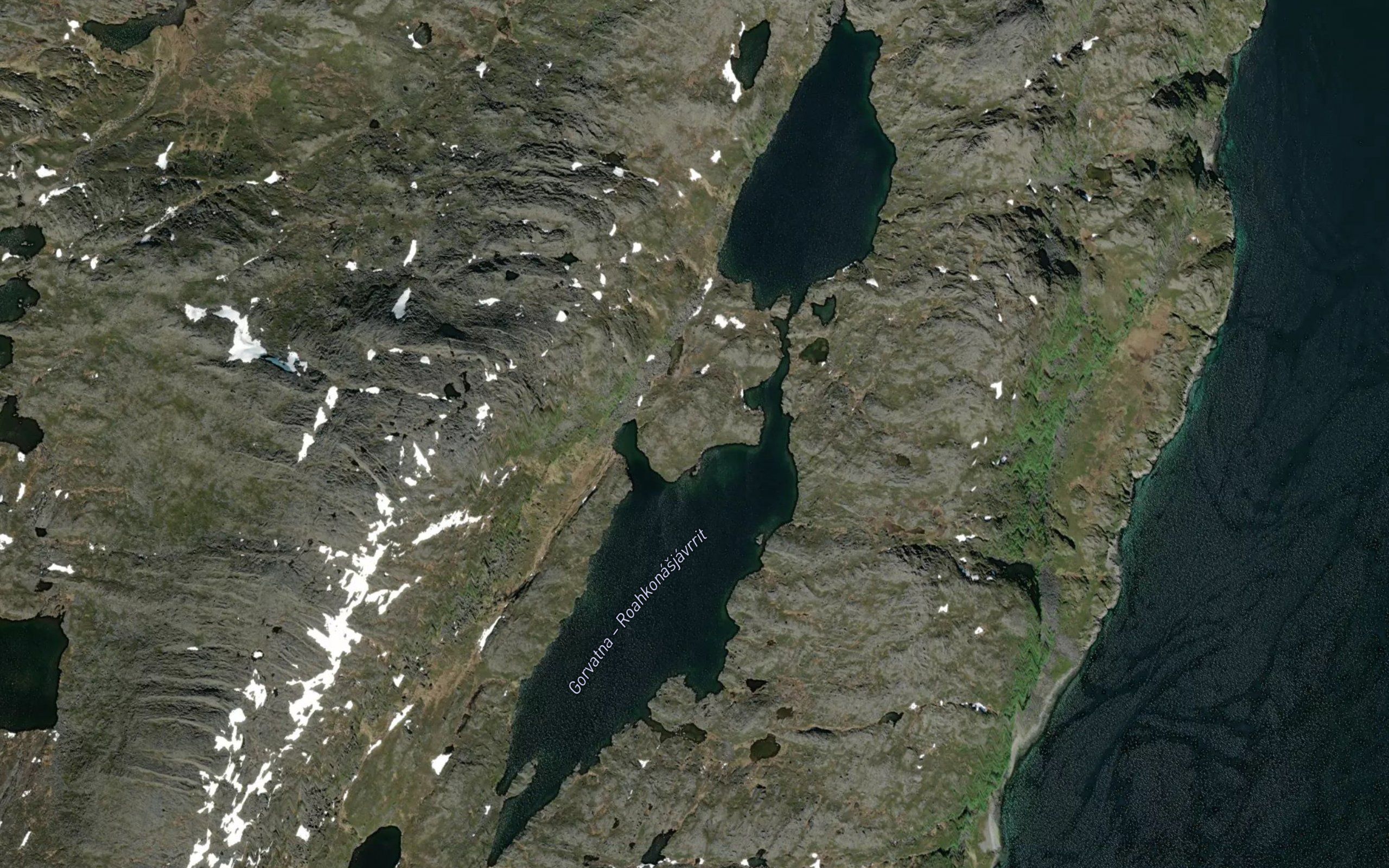 Roakkunasjavrit