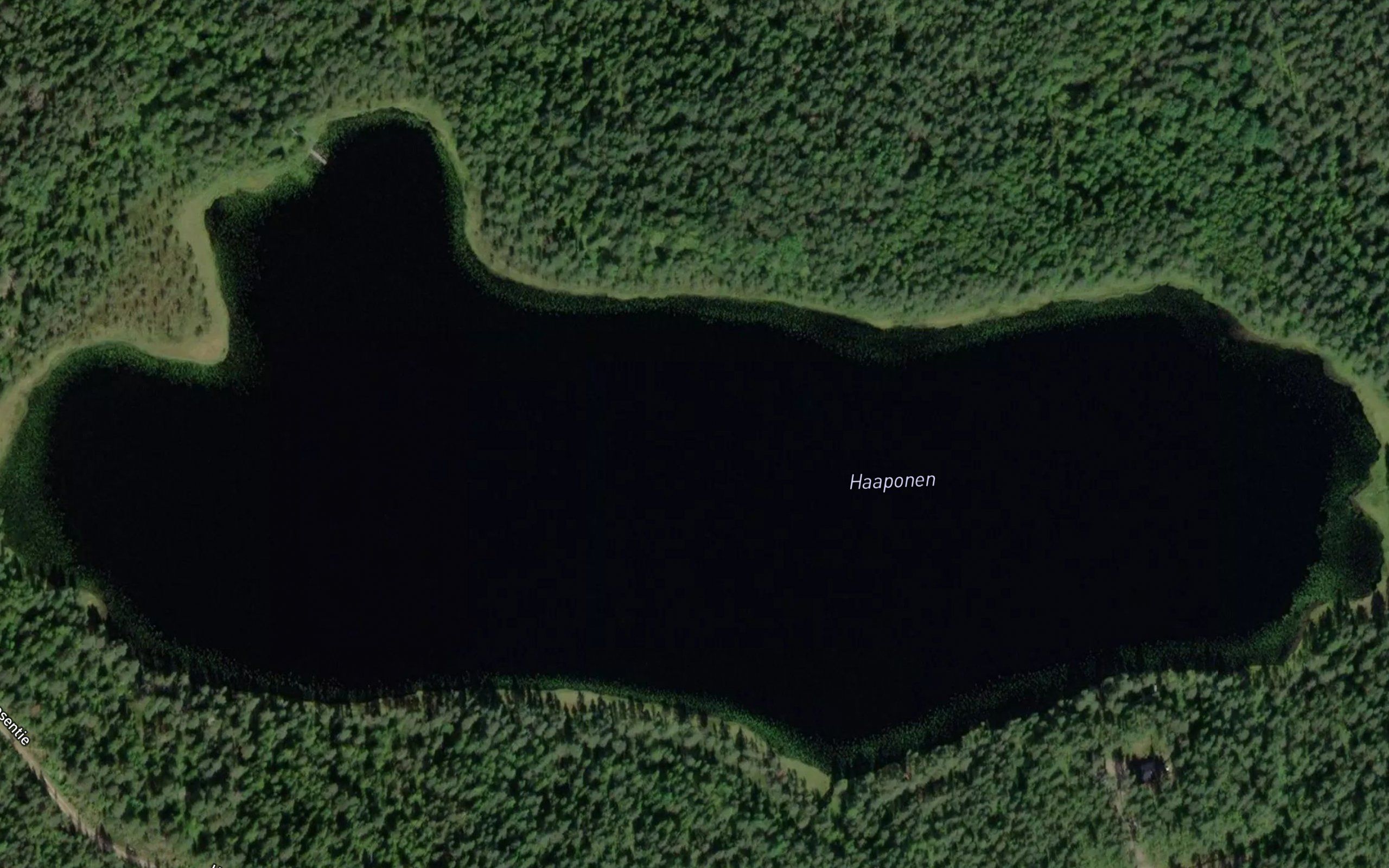 Haaponen
