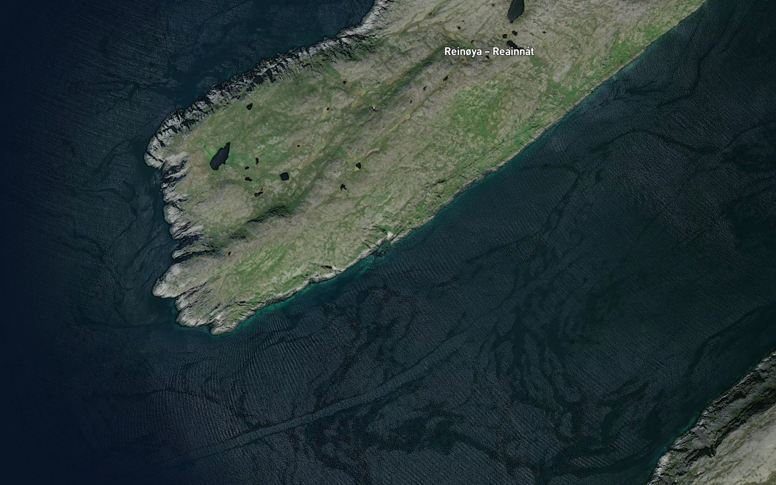 Bismarvika