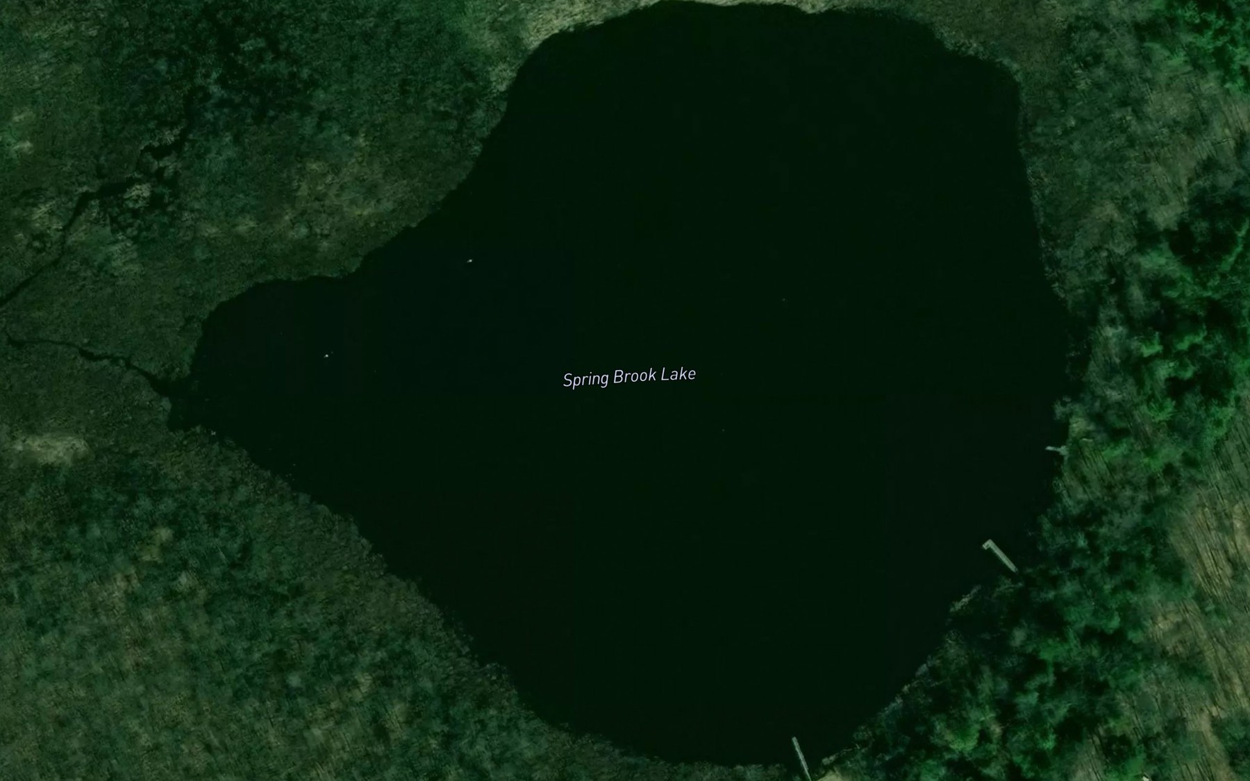 Satellite map of the Spring Brook Lake