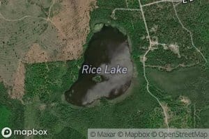 Rice Lake