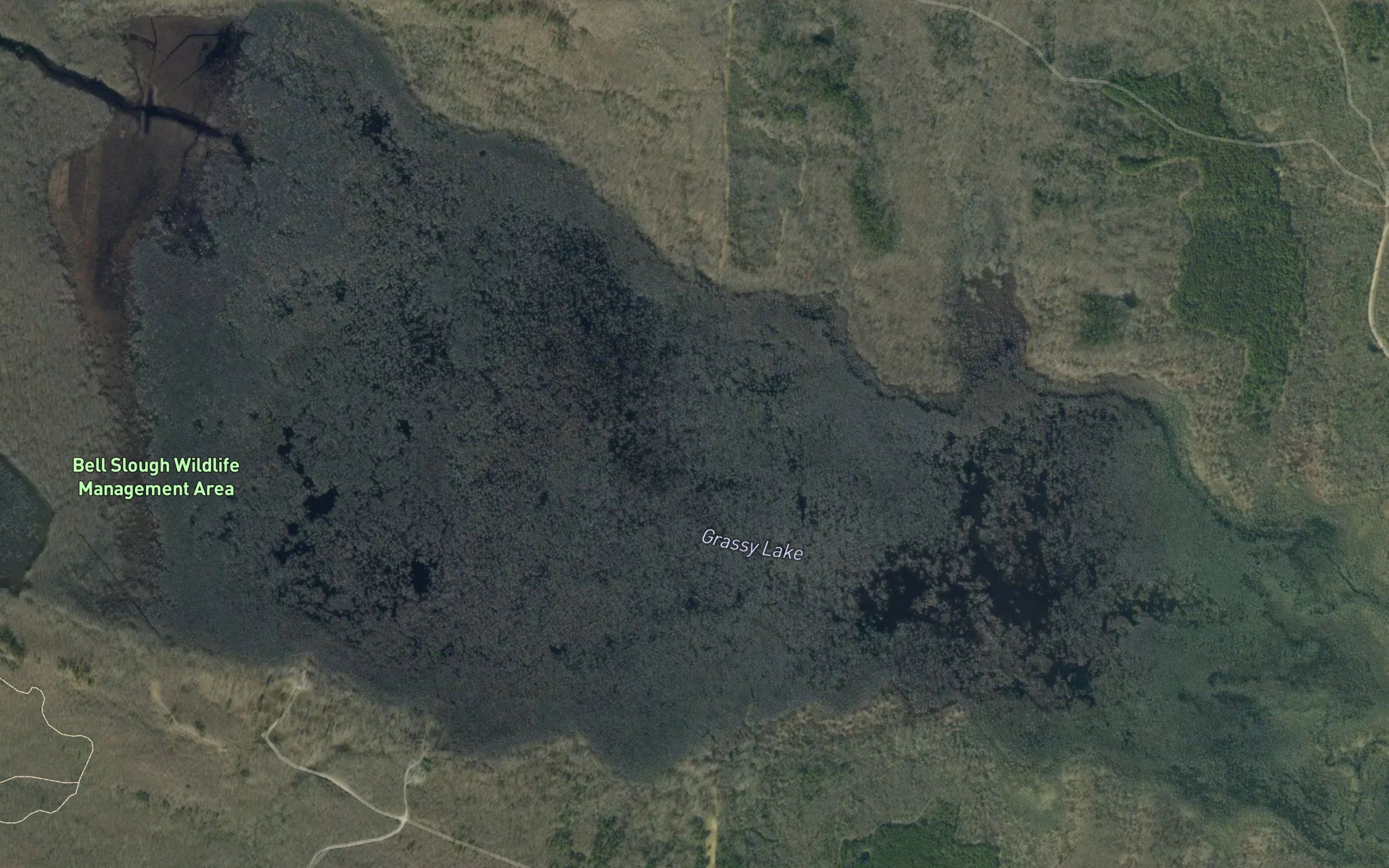 Grassy Lake