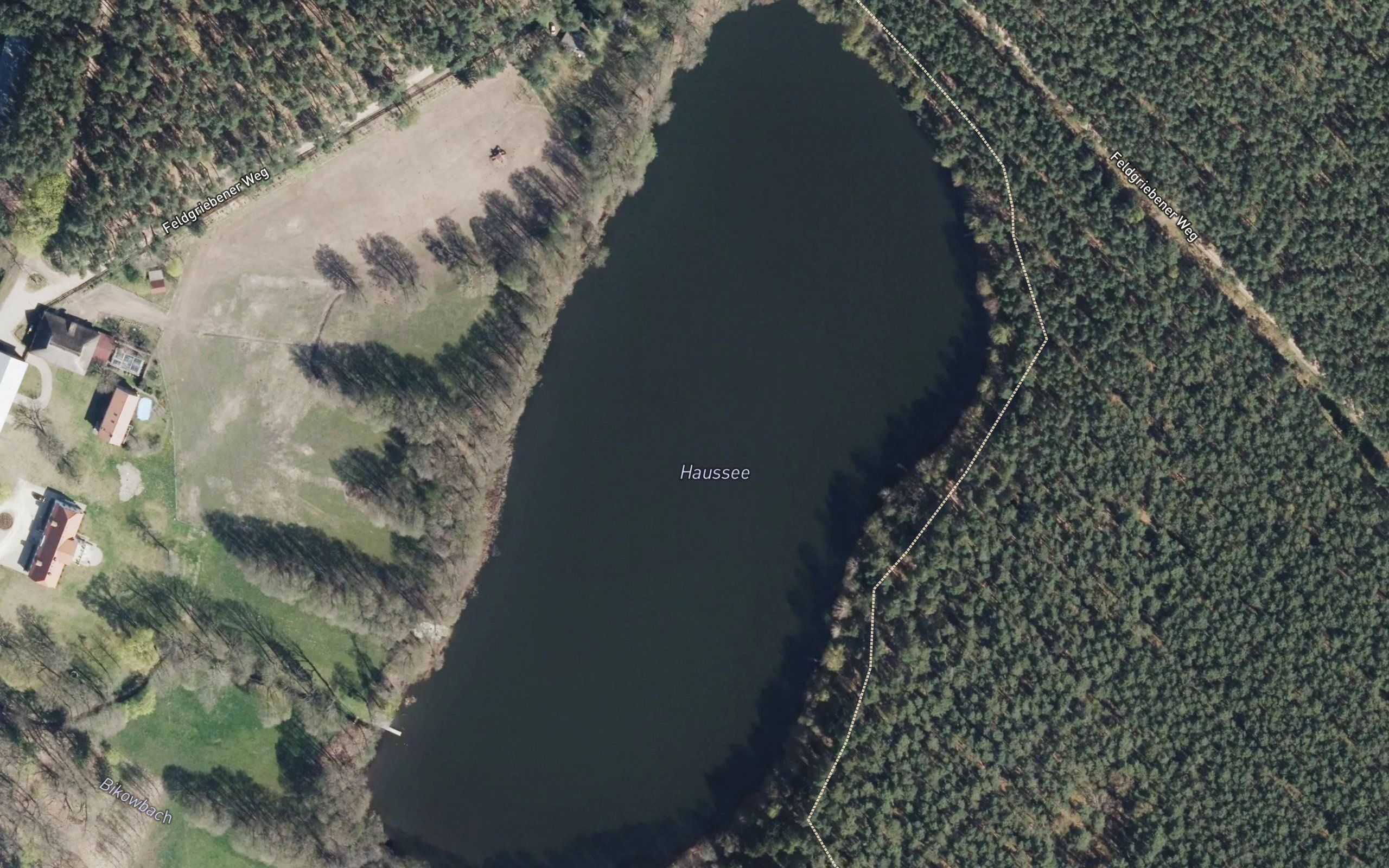 Haussee