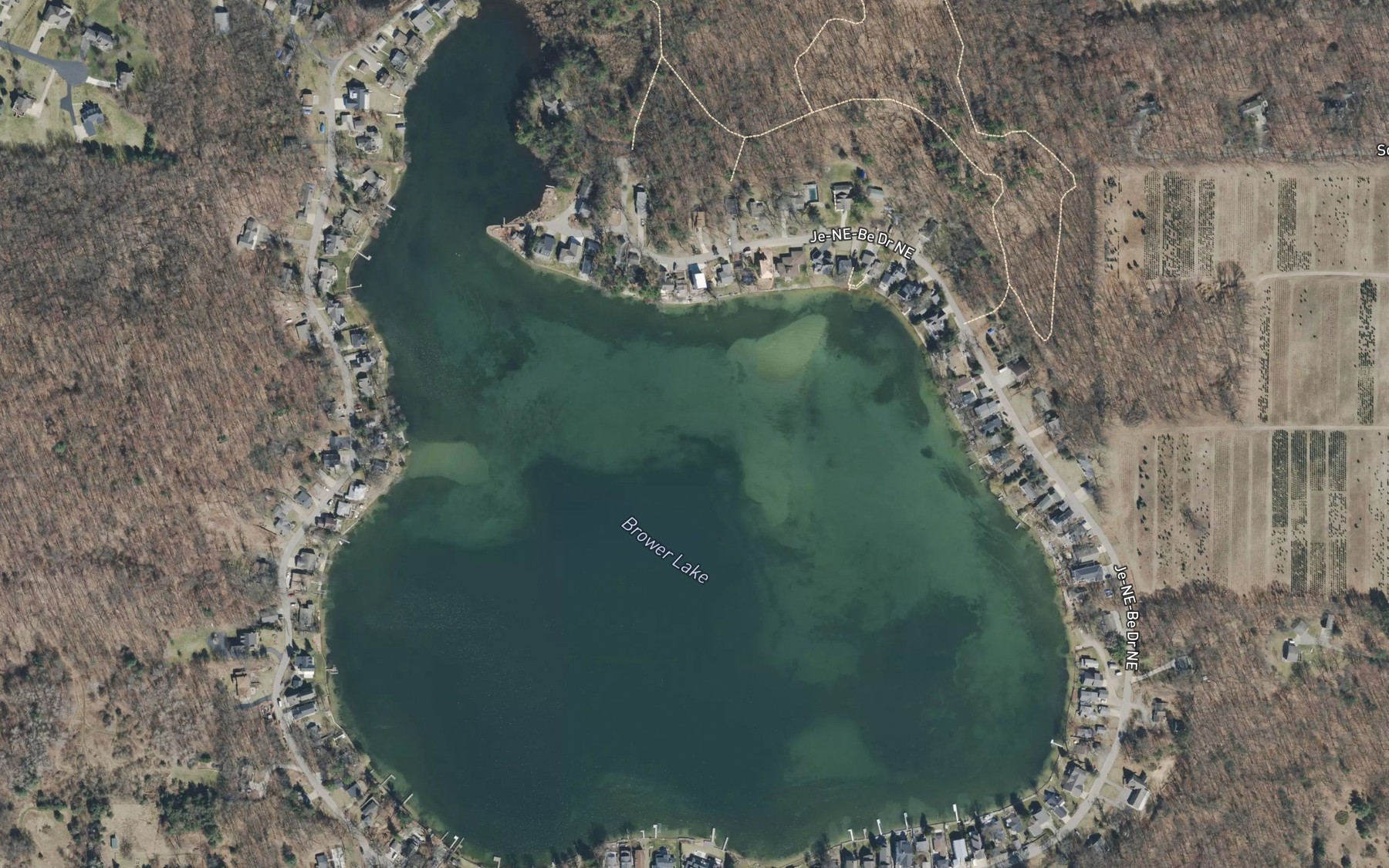 Satellite map of the Brower Lake