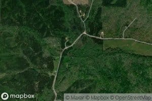 Opossum Branch