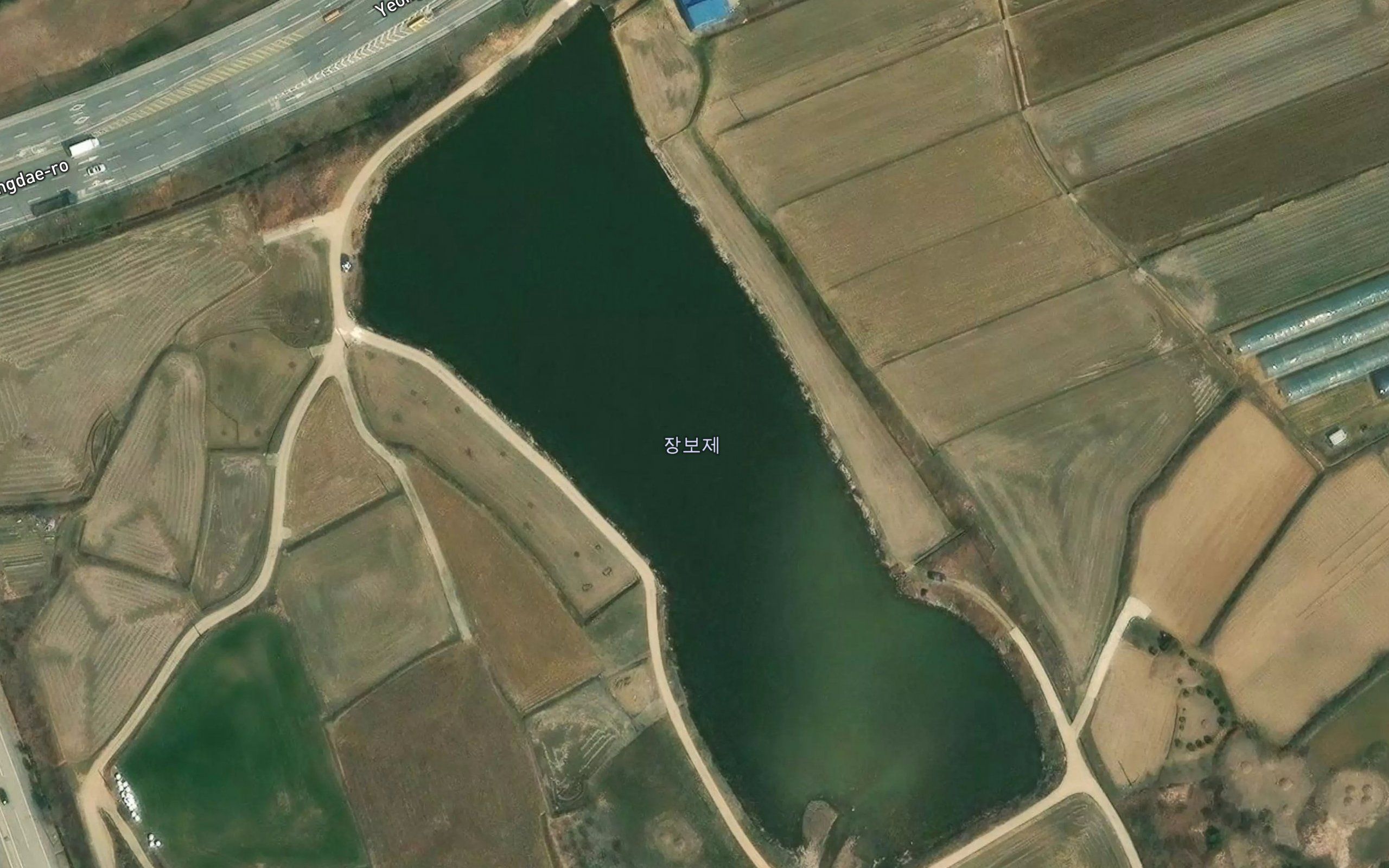 Jangpoje