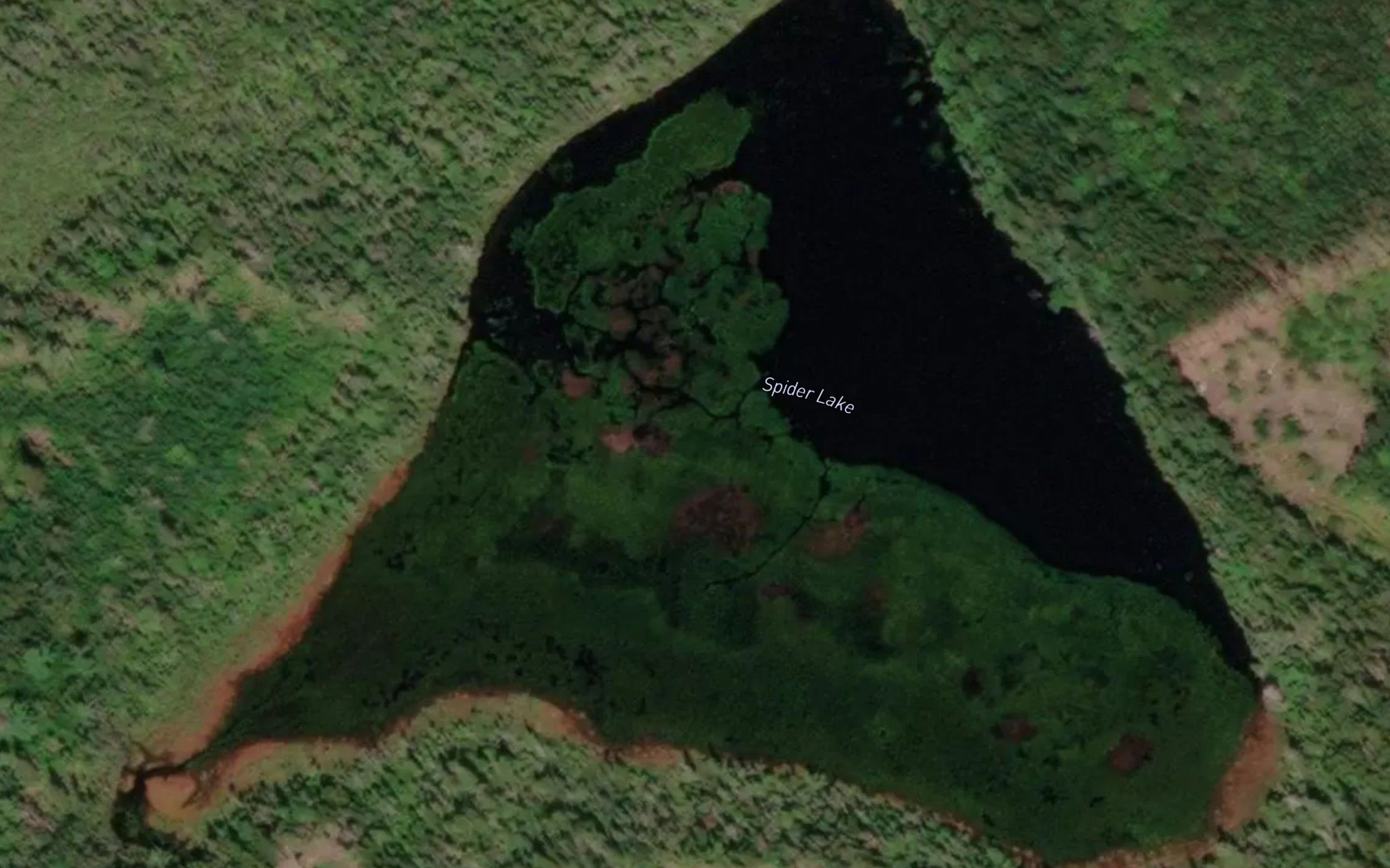 Spider Lake