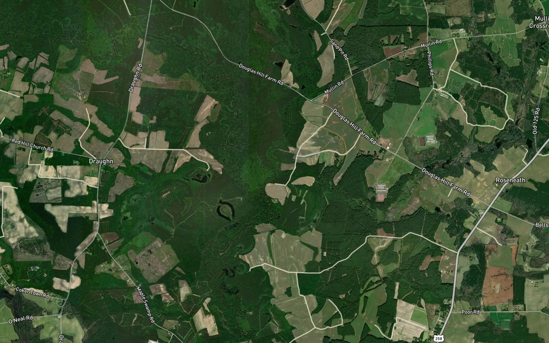 Satellite map of the Cow Haul Swamp