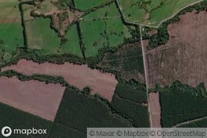 Estero Los Borrachos