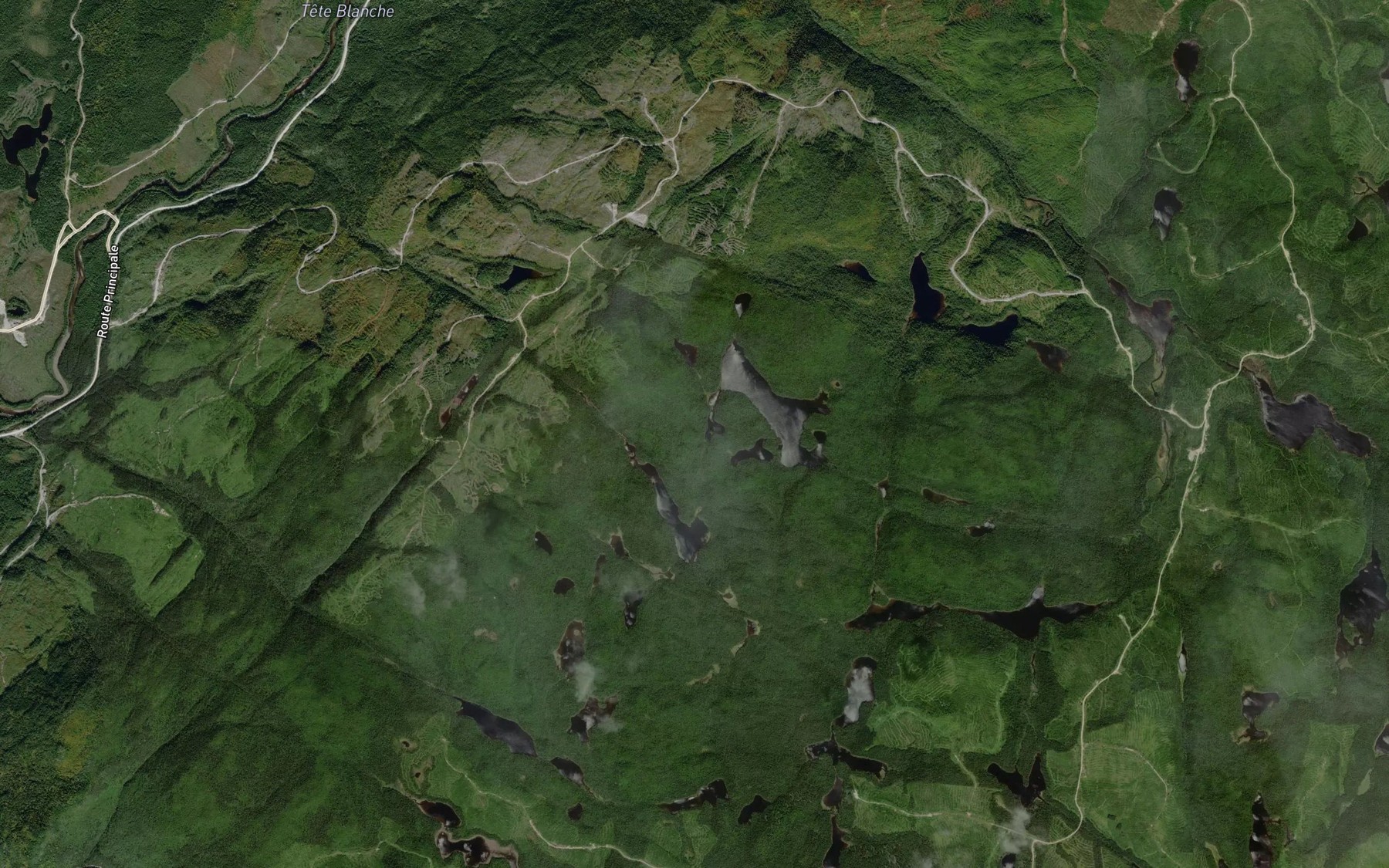 Satellite map of the Lac de la Boursouflure