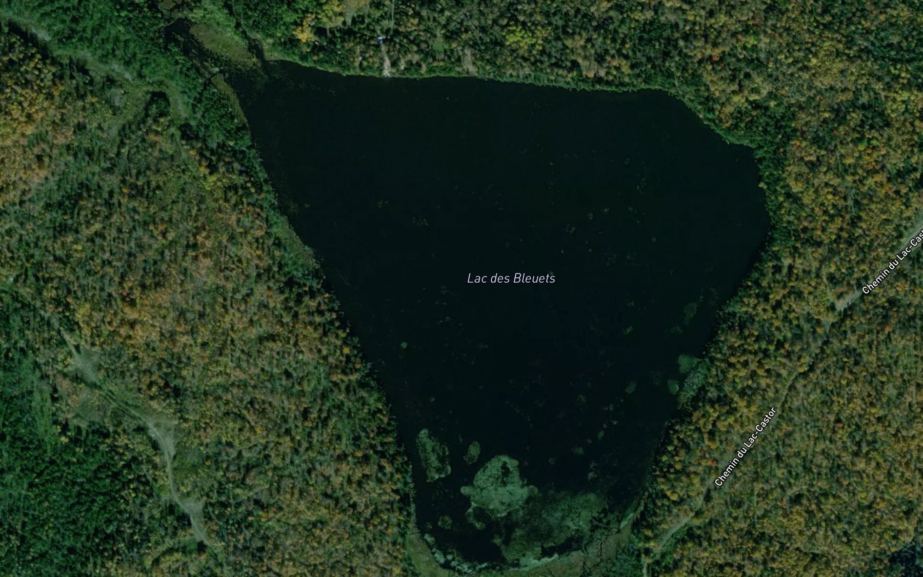 Satellite map of the Lac des Bleuets