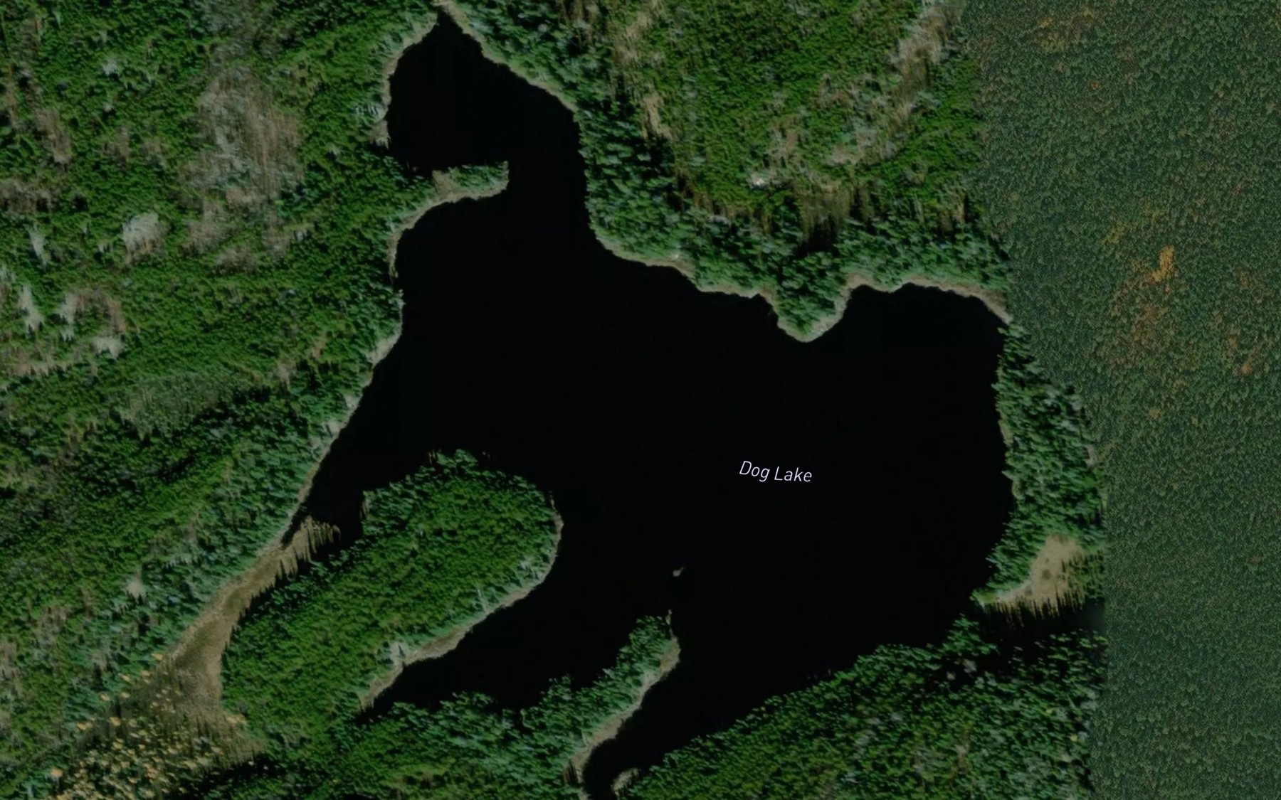Satellite map of the Dog Lake