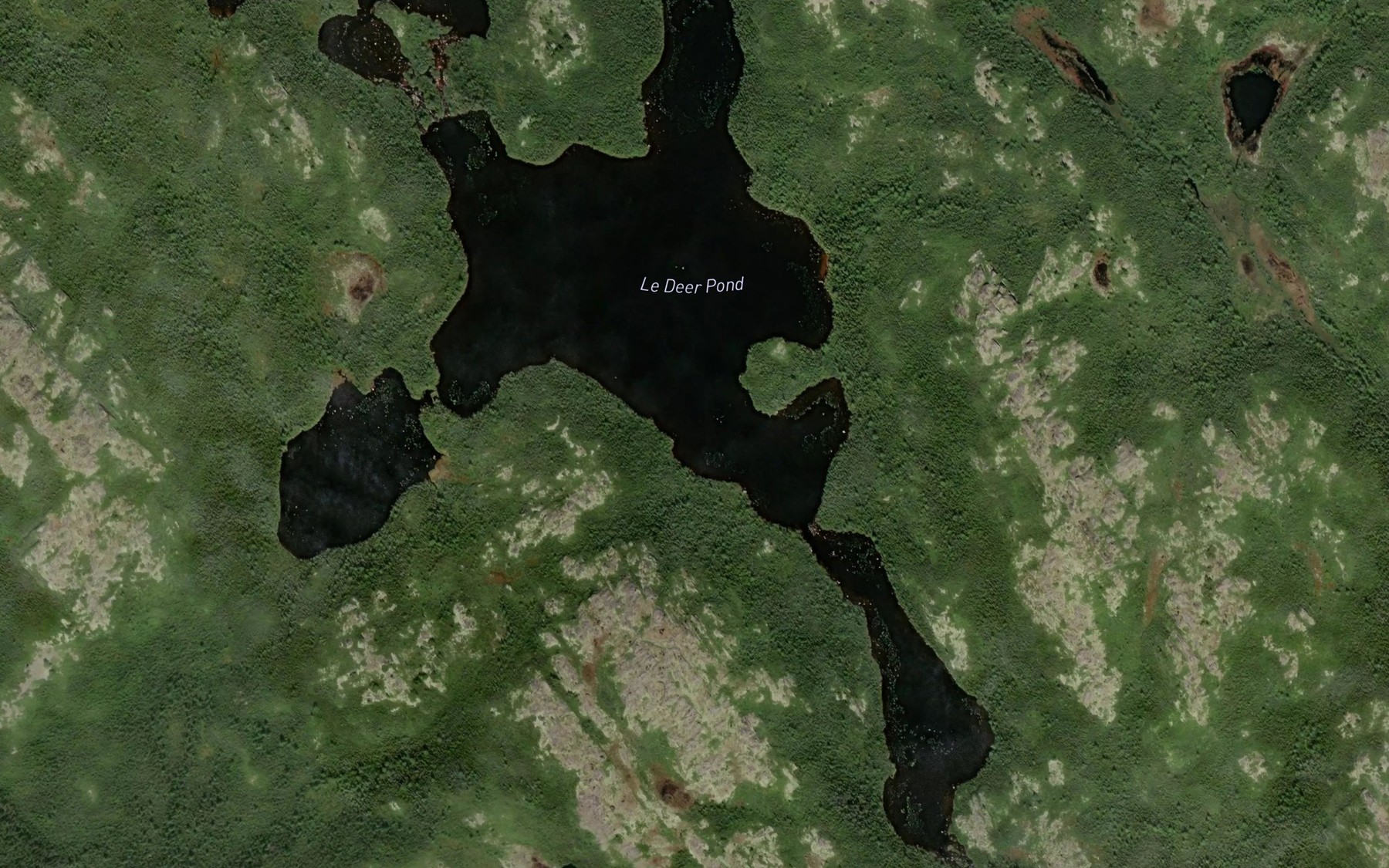Satellite map of the Le Deer Pond