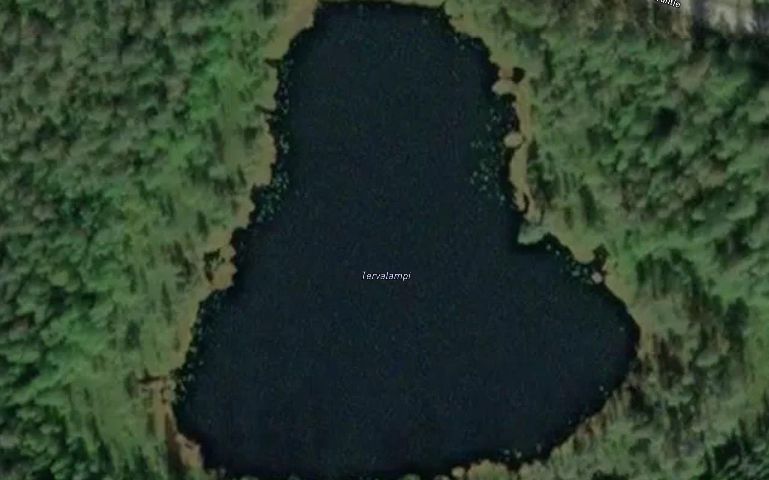 Tervalampi