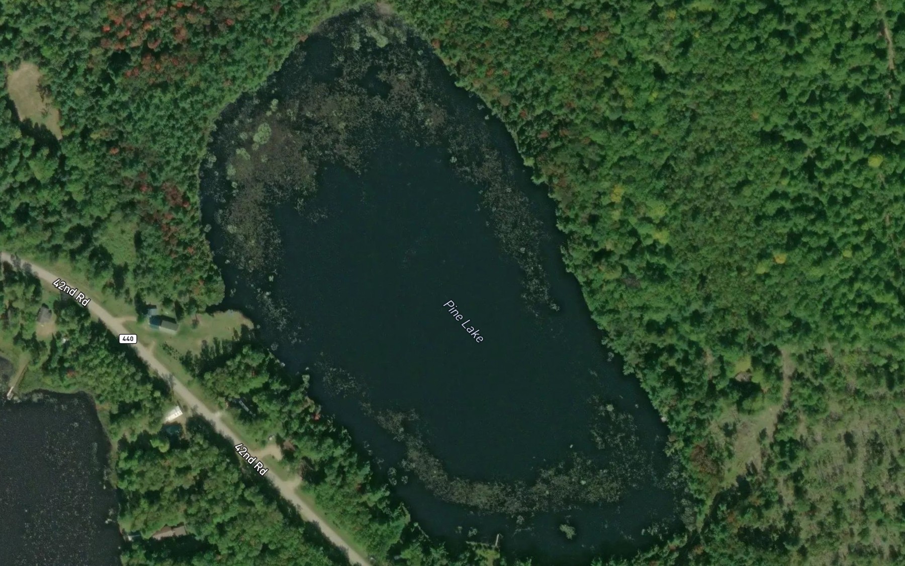 Satellite map of the Pine Lake