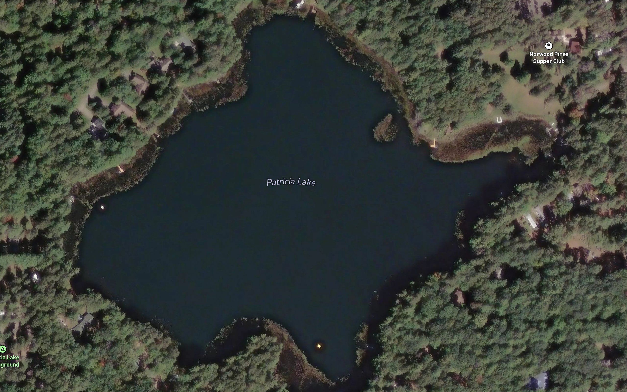 Patricia Lake