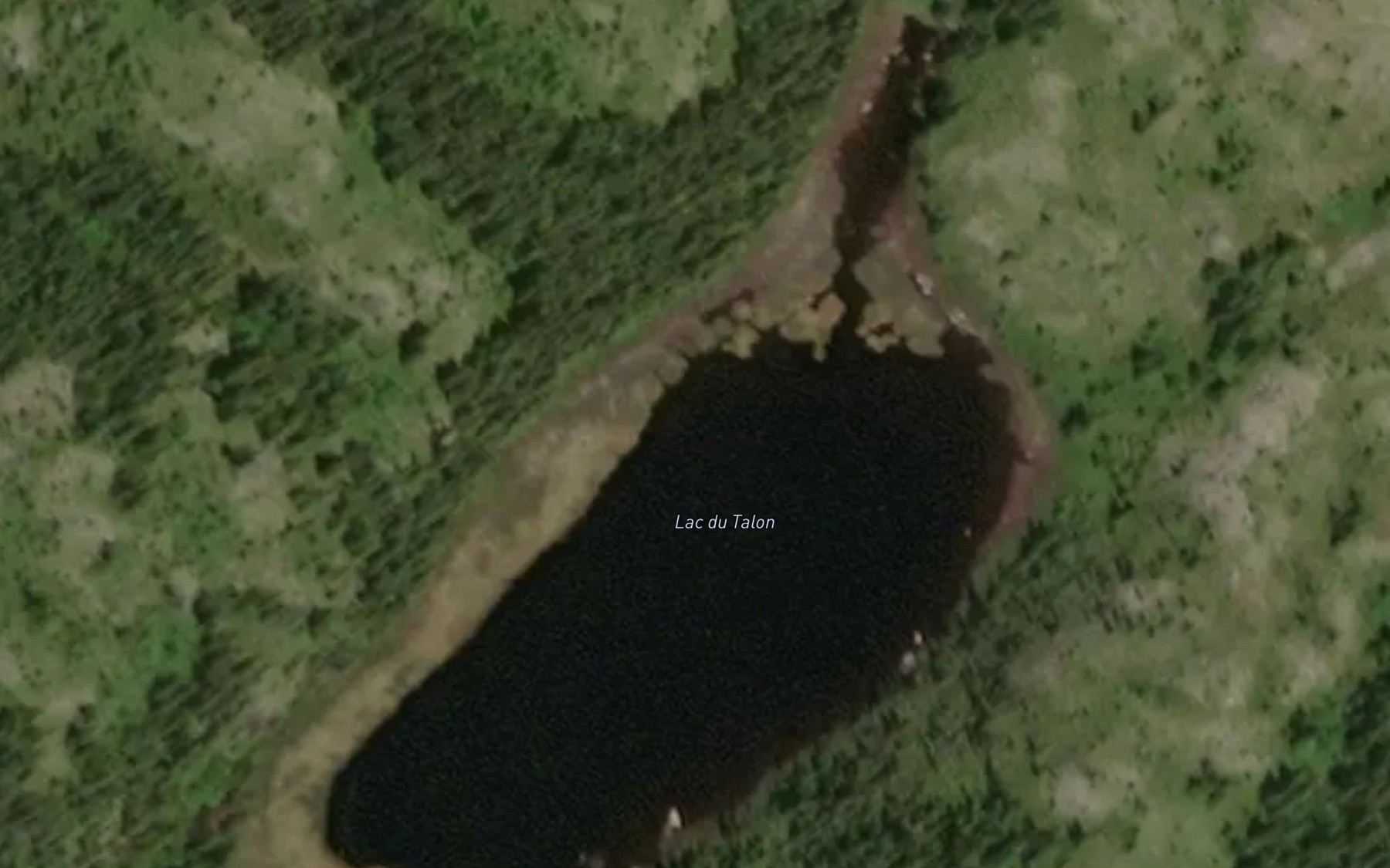 Satellite map of the Lac du Talon