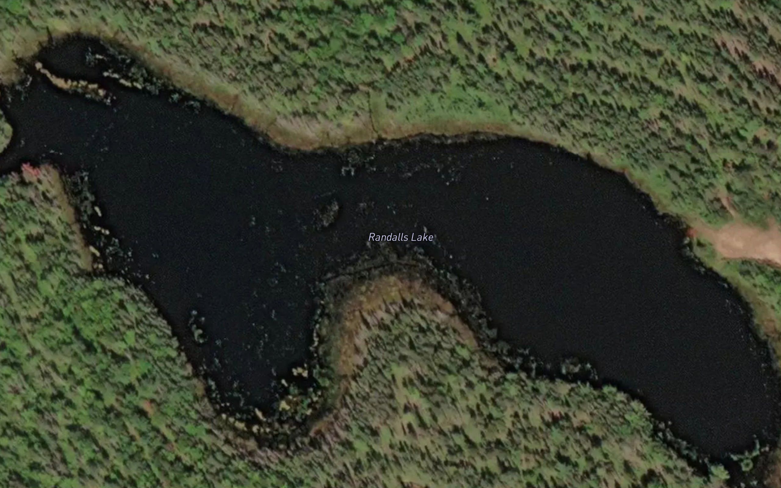 Randalls Lake