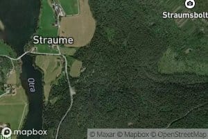 Straumselv