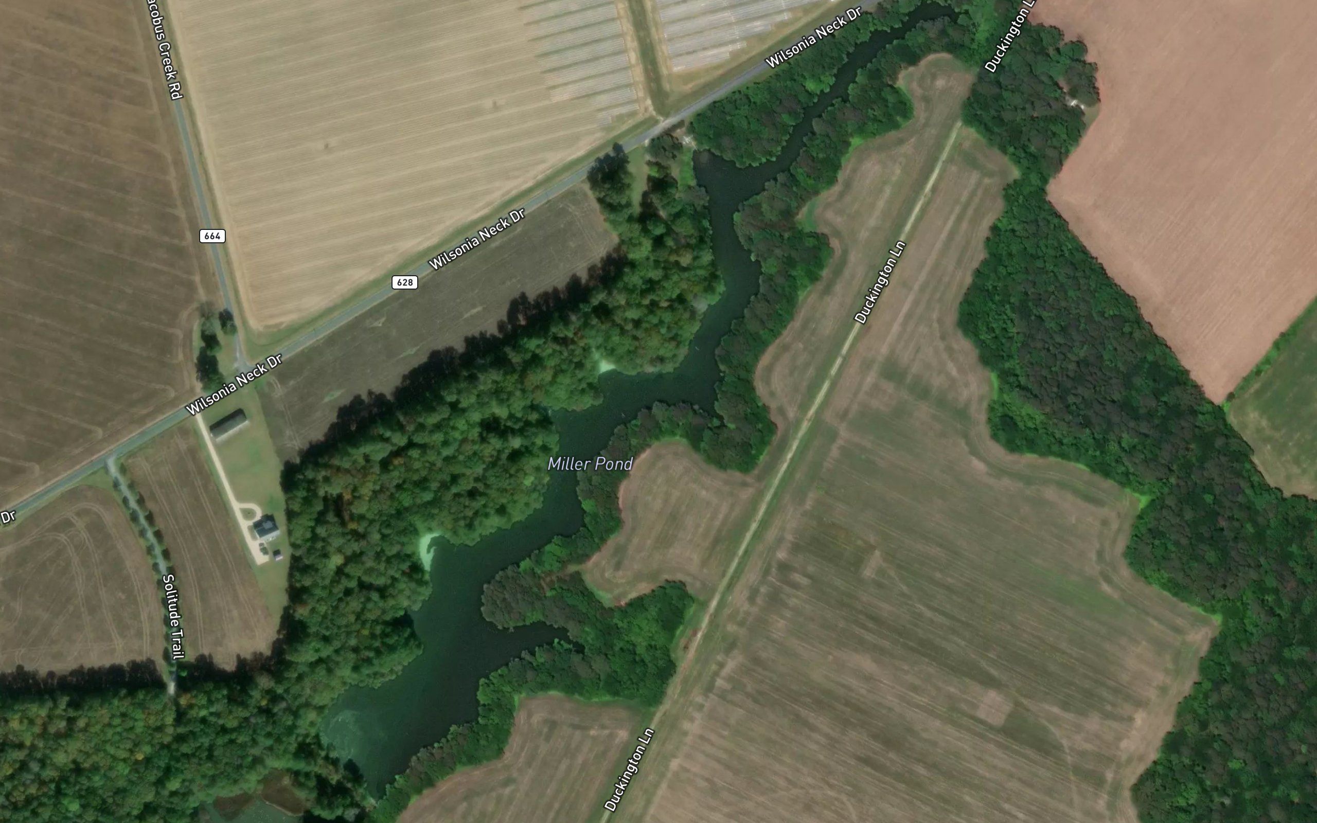 Miller Pond