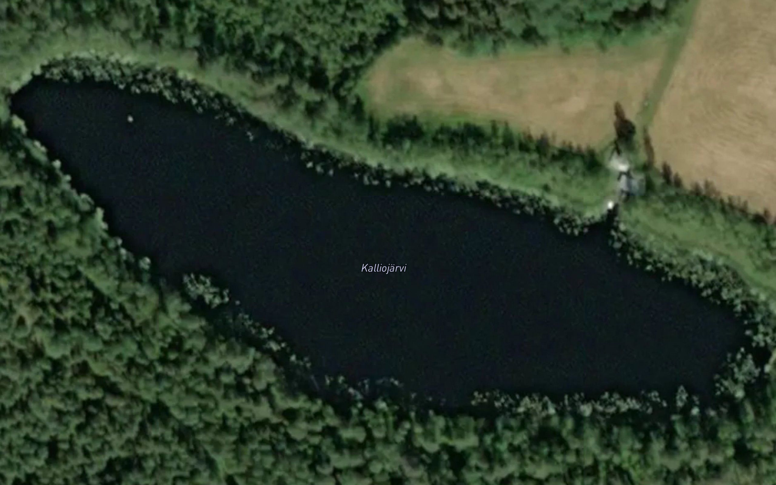 Kalliojarvi