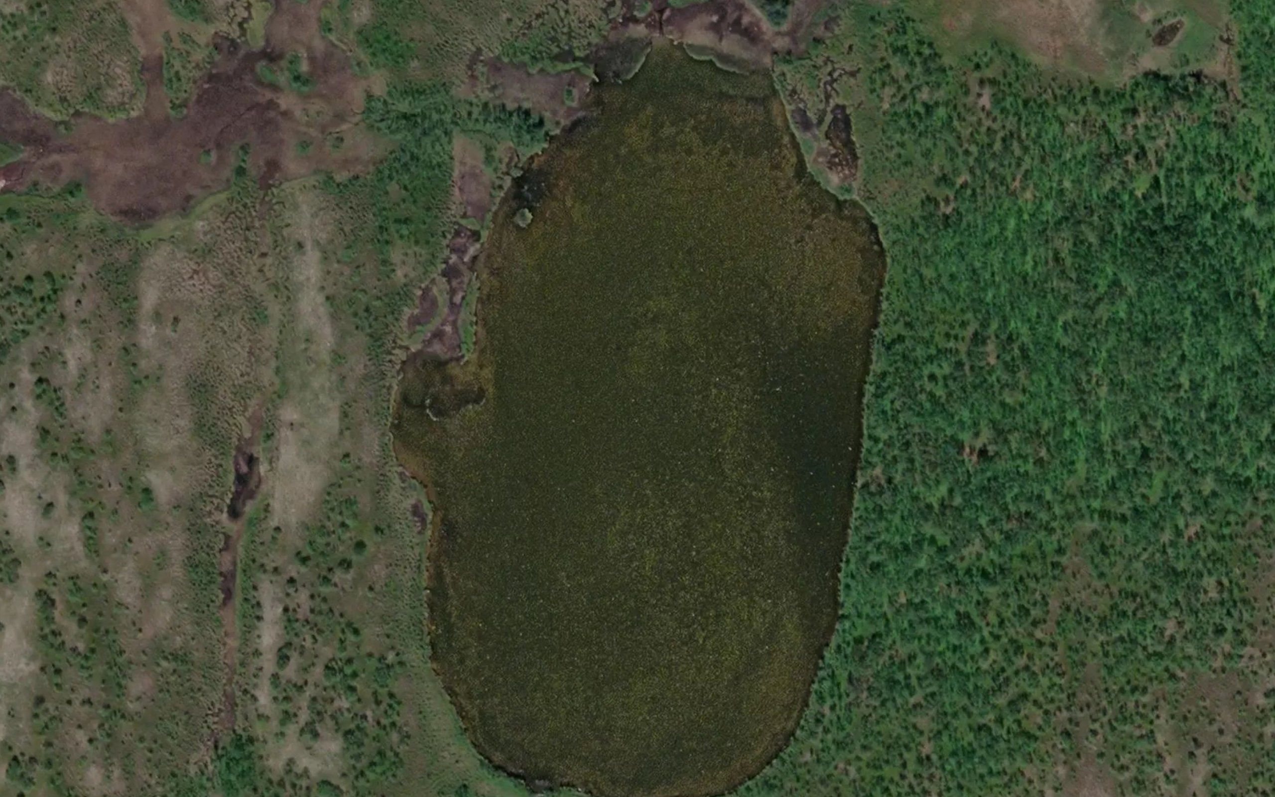 Ainetjavri