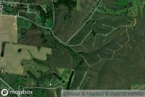 Pond Branch