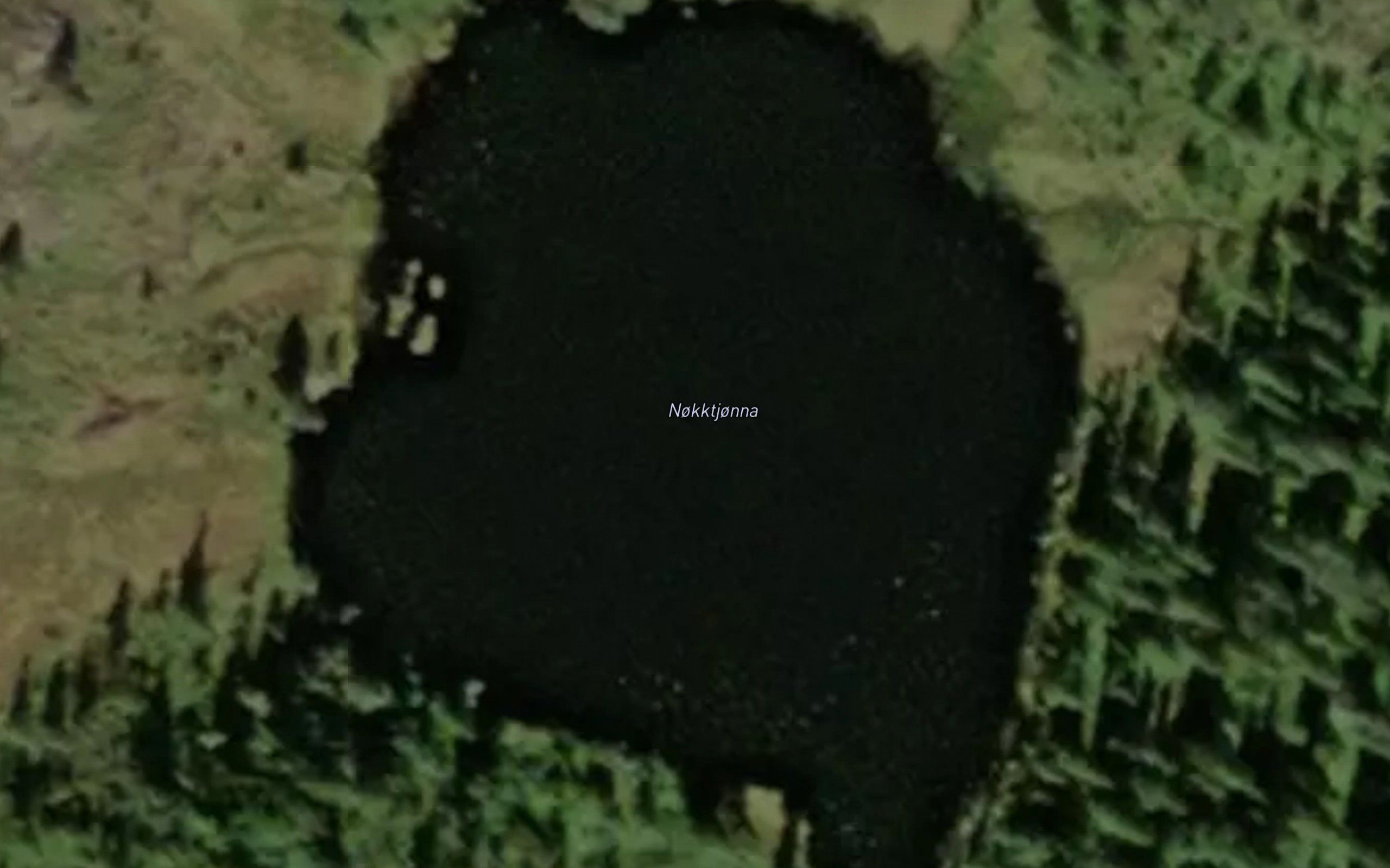 Nokktjorna