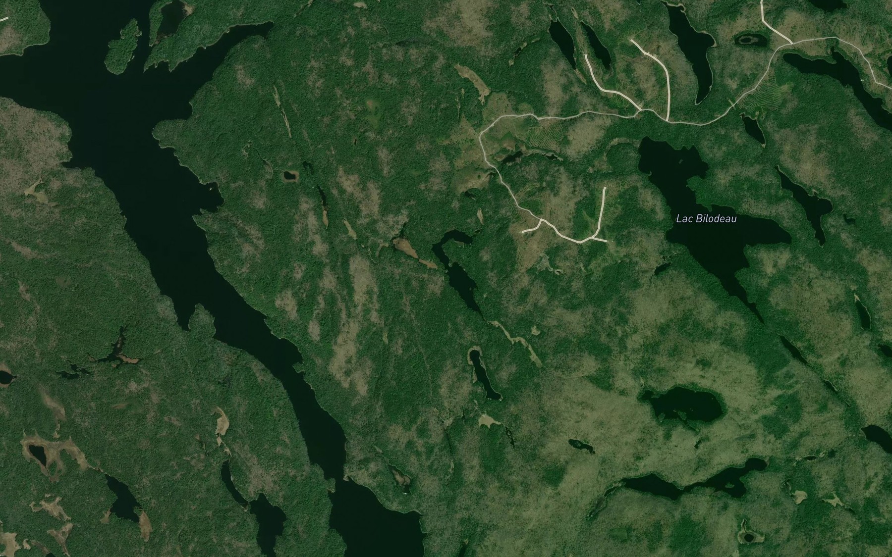 Satellite map of the Lac Alligator