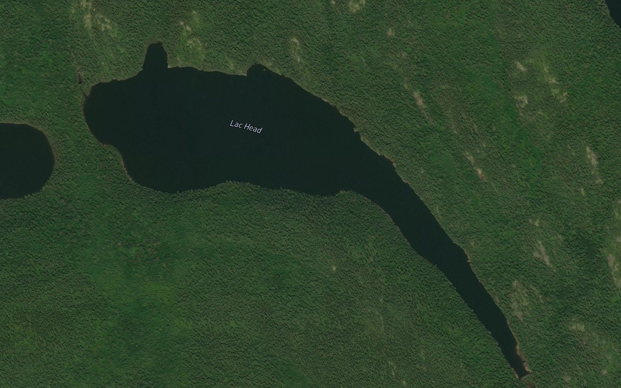 Lac Head