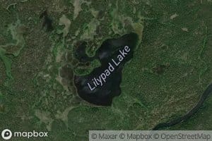 Lilypad Lake