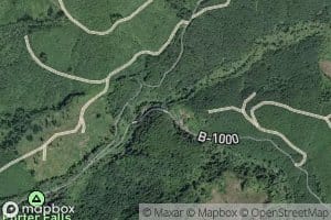 South Fork Porter Creek