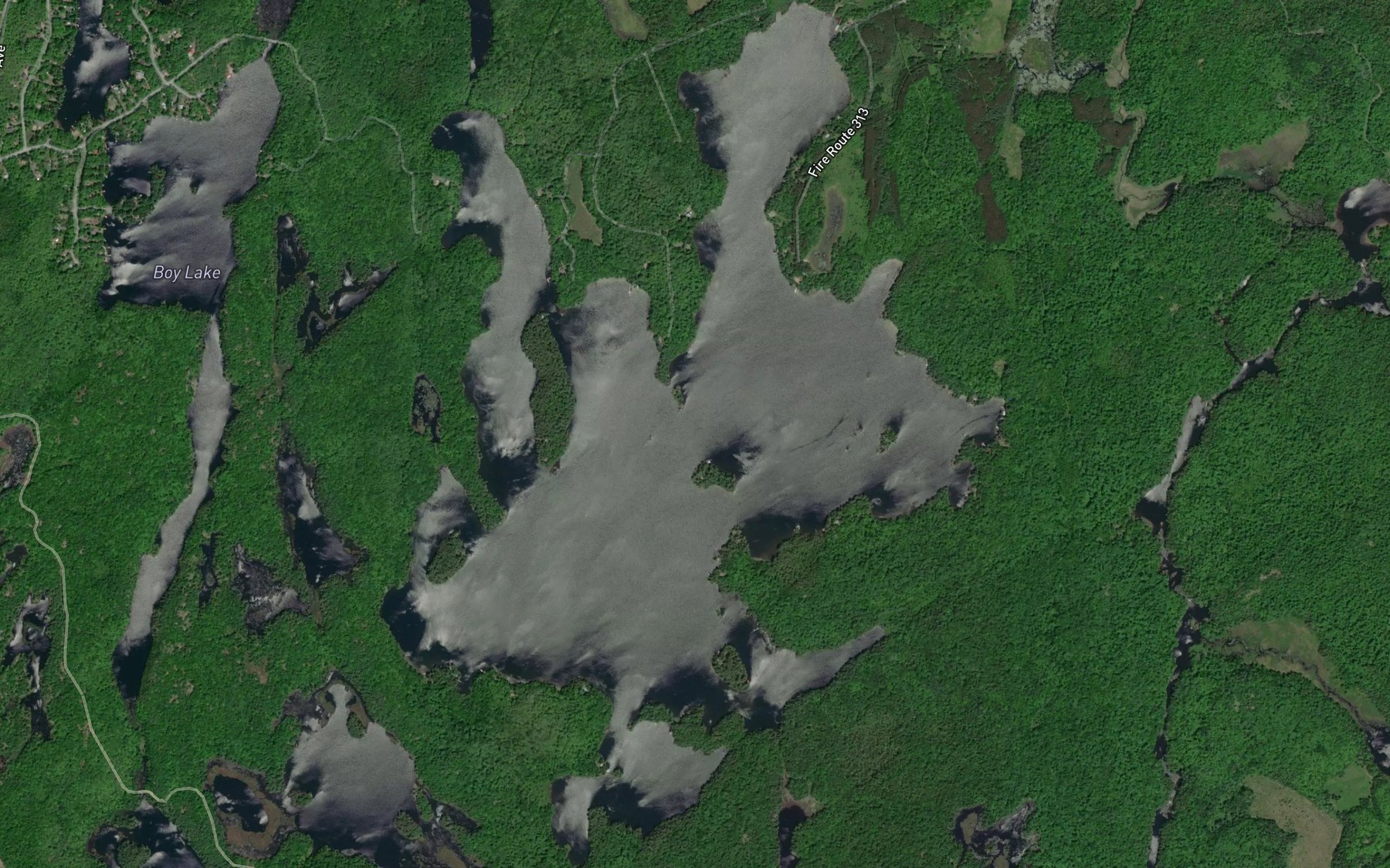 Satellite map of the Trout Lake