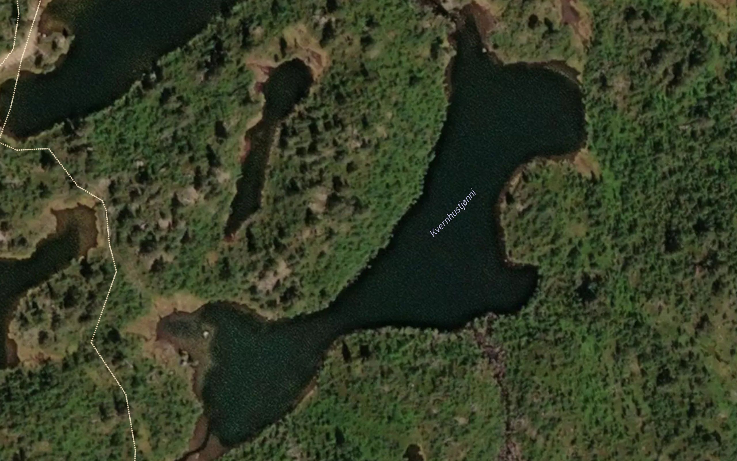 Kvennhustjonnane