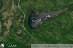 Moose Pond