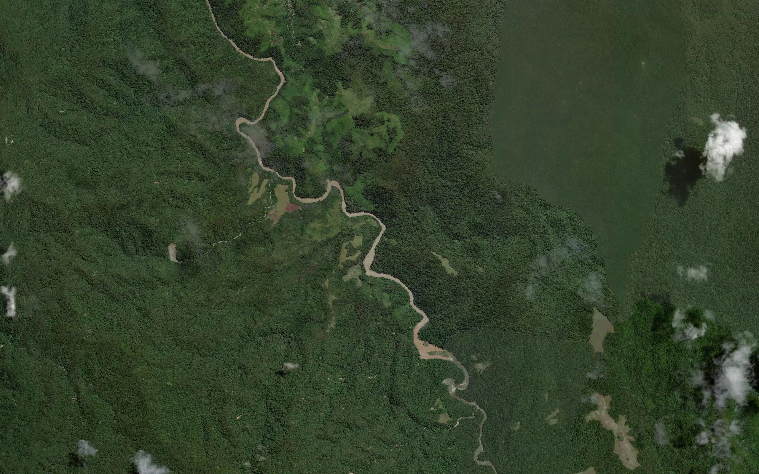 Halu Kabau