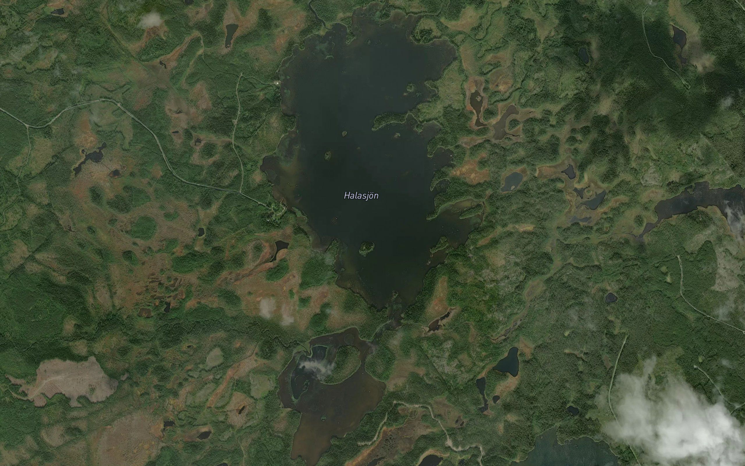 Halasjon