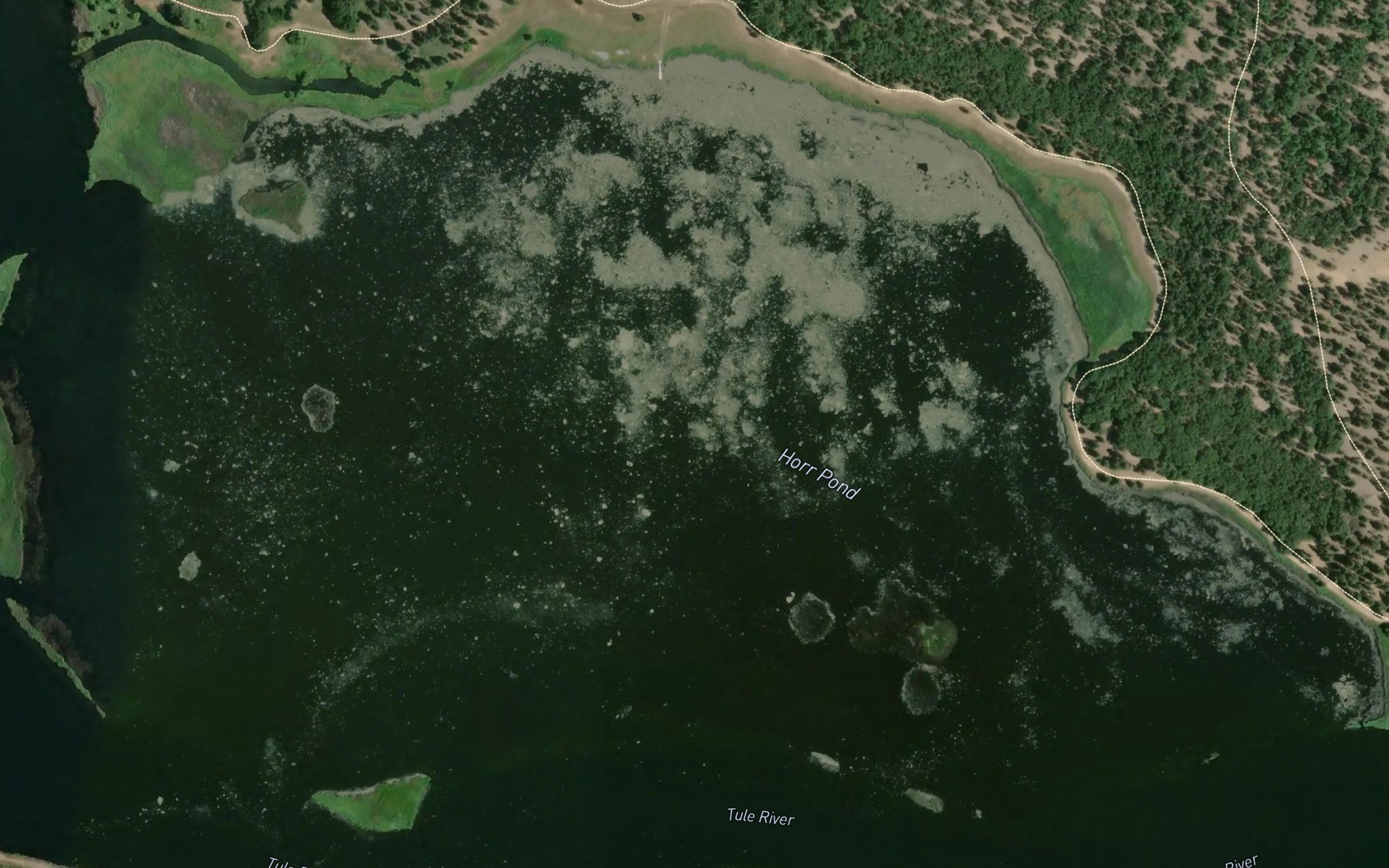 Satellite map of the Horr Pond