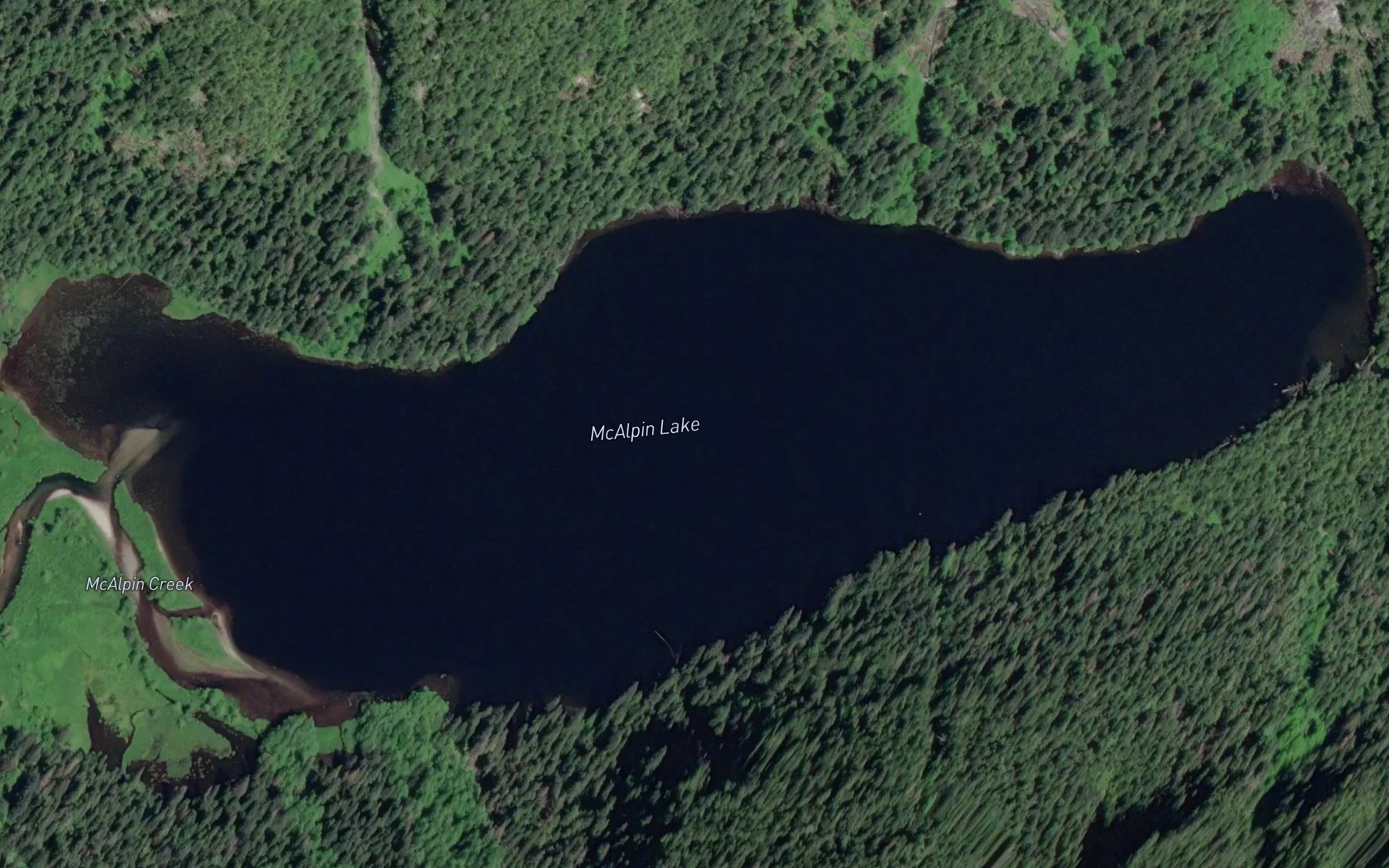 Satellite map of the McAlpin Lake